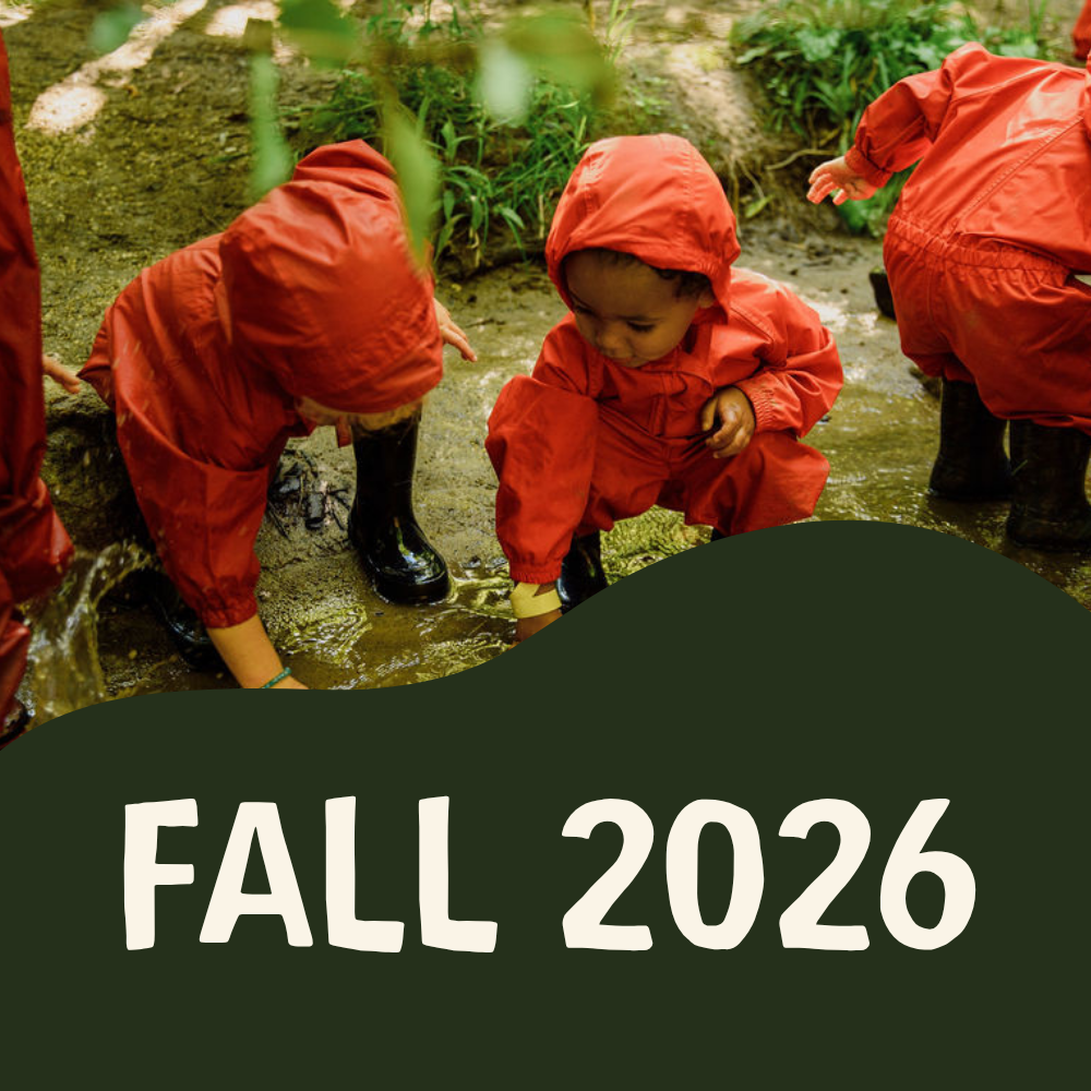 Fall 2026